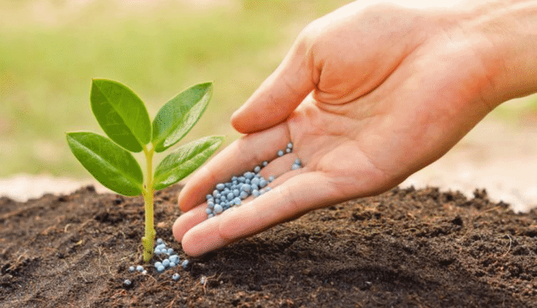 Los fertilizantes son los responsables del 50% de la producción mundial de alimentos
