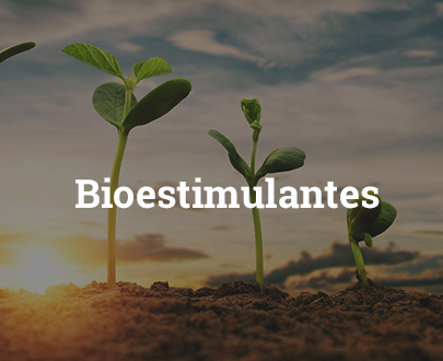 Bioestimulantes