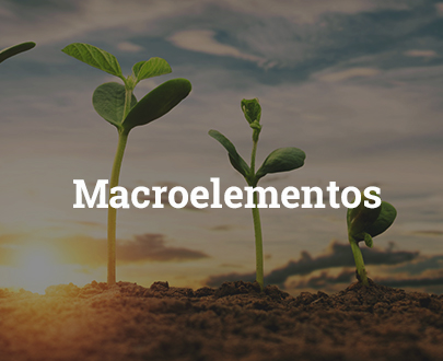 Macroelementos