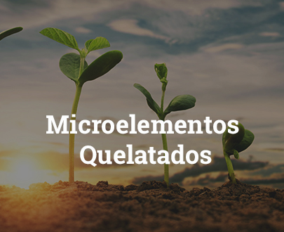 Microelementos Quelatados