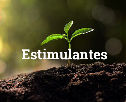 Estimulantes