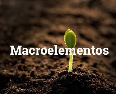 Macroelementos